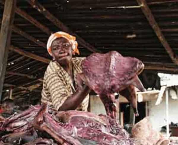 Bushmeat-3