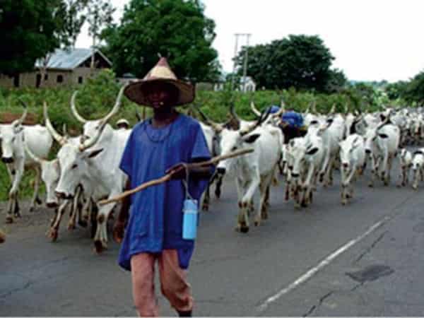 Fulani-Herdsmen