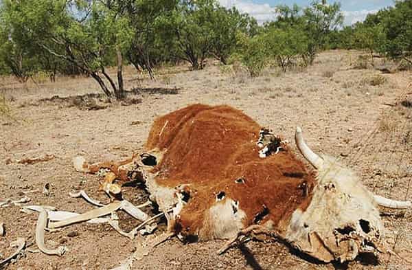 Water 23-03-2015 Copy