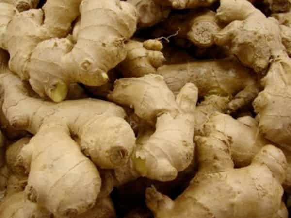 ginger-herbalscienceresearch