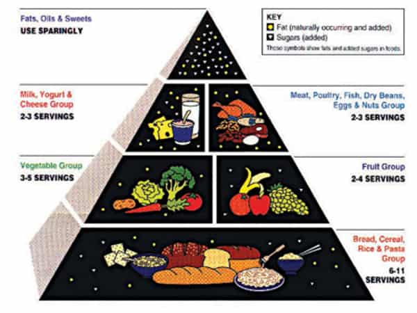 Food Pyramid