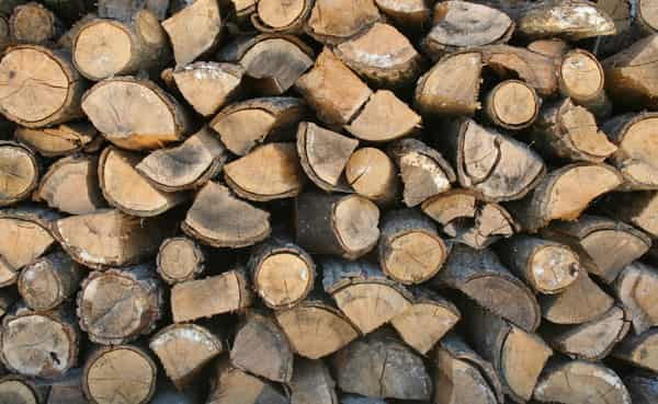 firewood-02