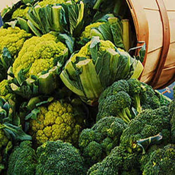 Cruciferous_Vegetables