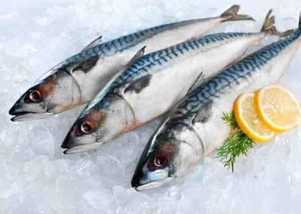 Oily-fish-Copy