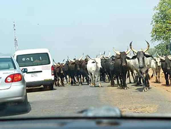 Enugu-Herdsmen