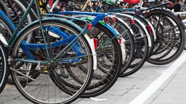 bikes-lined-up-jpg-838x0_q80