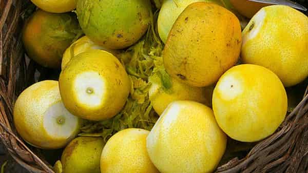 tumblr_m1v2u1agm51qb1f7qo1_500