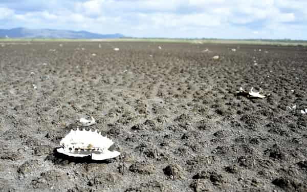 DOUNIAMAG-BRAZIL-DROUGHT-RESERVOIR