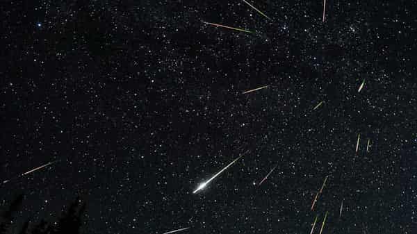 Perseids