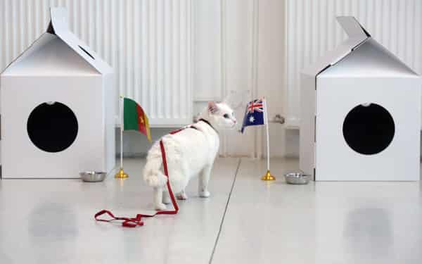 FBL-CONFED-CUP-FEATURE