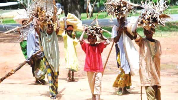 child-labour-27-6-17