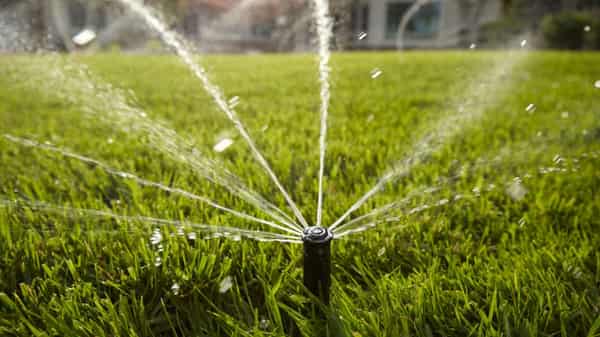 irrigation