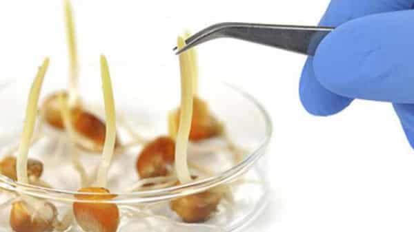 seedlab-930×486-900×336