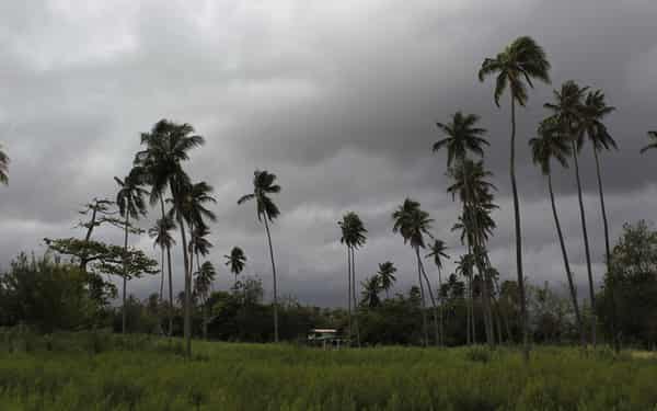 Aftermaths after hurricane Maria hit the Caribbean islands