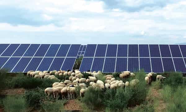 微信图片_20170919160307.jpg 3 (1)