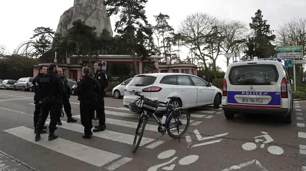 FRANCE-SCIENCE-ZOO-ANIMAL-MUSEUM-BABOON