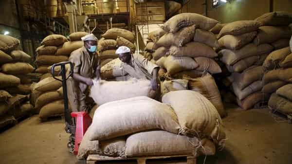 Workers arrange bags containing cocoa beans at a cocoa processing factory in Ile-Oluji village in Ondo state, southwest Nigeria