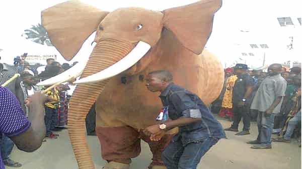 The Elephant in Ellu