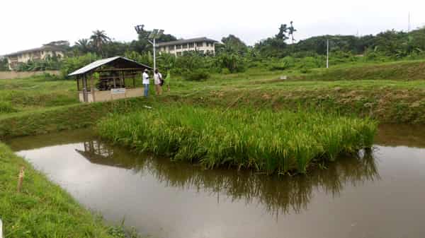 integrated picture 9-8-18