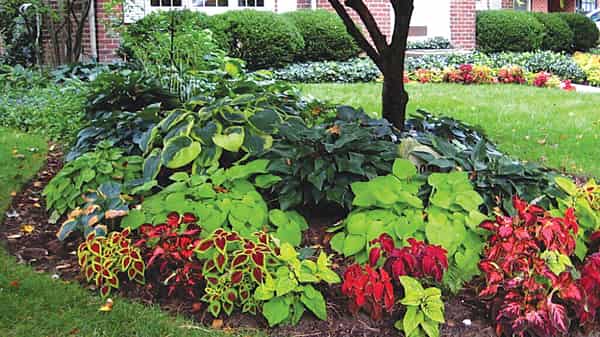 14.—front-yard-landscaping-garden-ideas-homebnc