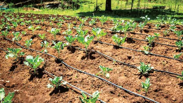 drip irrigation kit+