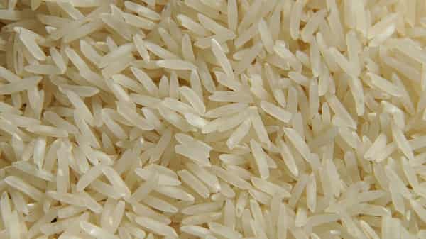 rice-960627_960_720