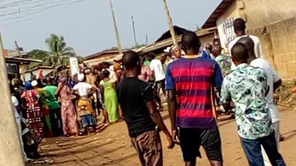 8562288_img20190122160359_jpeg9d71a0e49c681a164b85ce4203157291