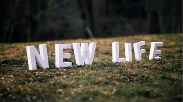 new-life