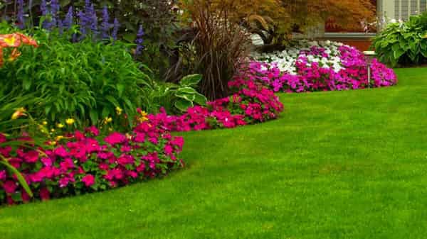 pix6. Flower-Beds-CROP-e1530293687367