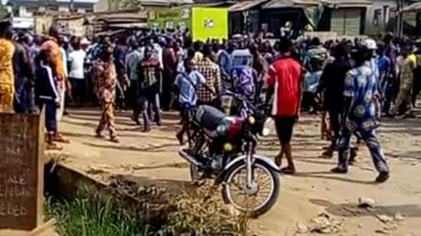 8555011_img20190121204651200_jpeg1ea28964c3e98895deb554404dbf1f74