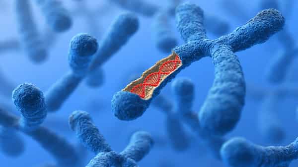 Chromosome. DNA