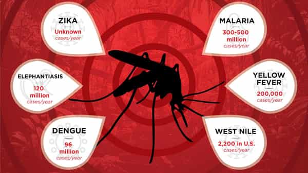 mosquito-borne-disease