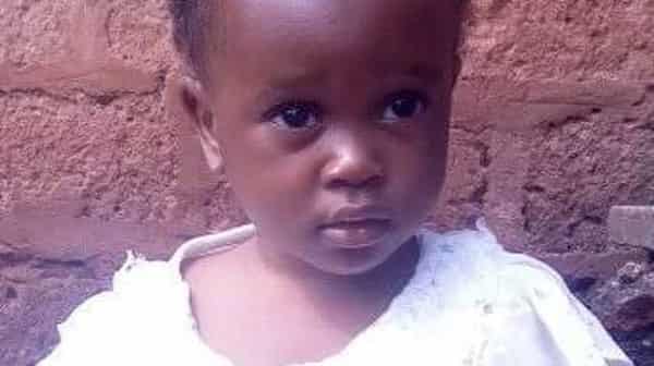 Fotor_155863461290013