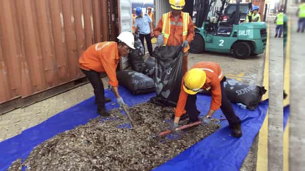 VIETNAM-CRIME-WILDLIFE-ANIMAL