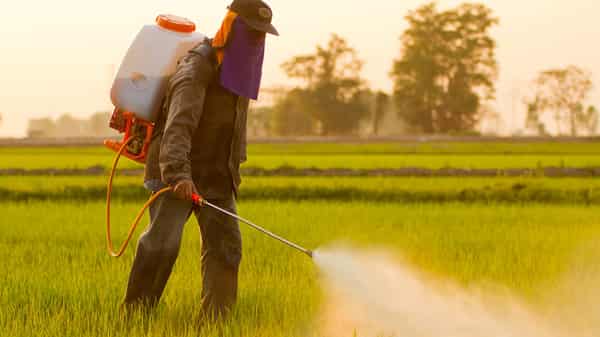 A man spraying herbicides