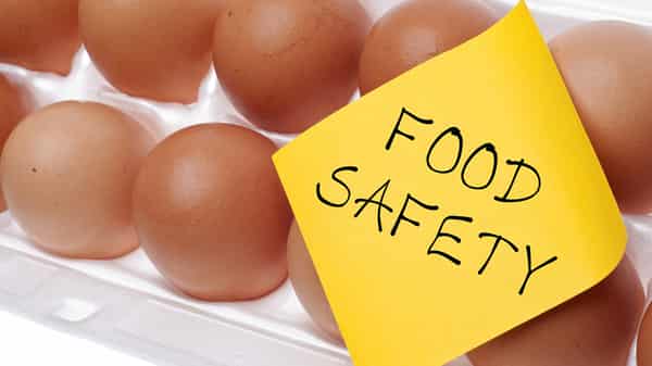 Food Safety Concept