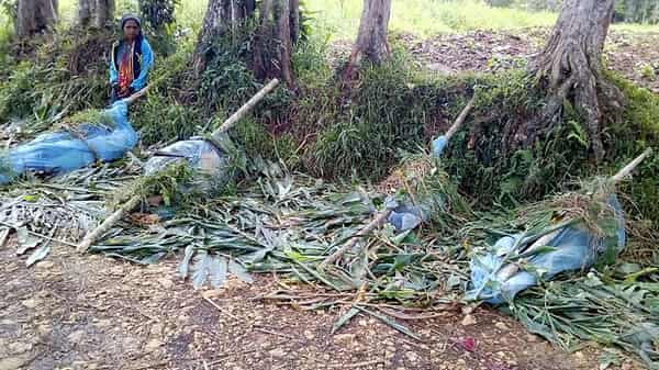 PNG-UNREST-TRIBAL-WAR