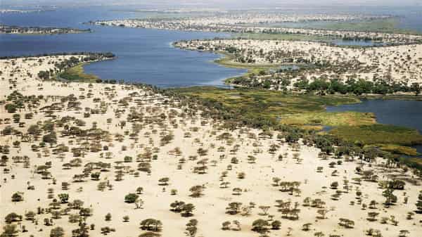 Lake Chad – Guardian Nigeria