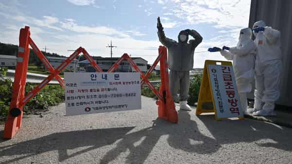 SKorea-animals-DISEASE-PORK-LIVESTOCK