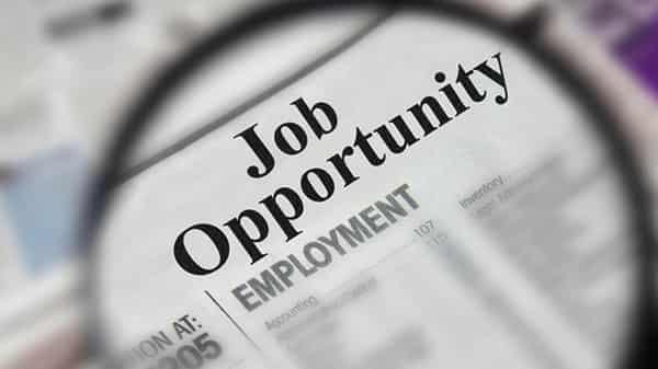 Job-Opportunity-Banner