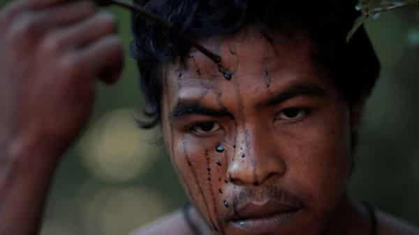 11667376-3×2-700×467