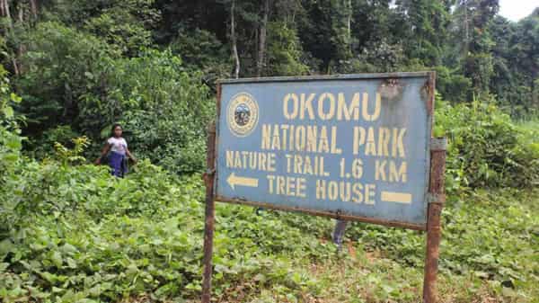 Okomu-National-Park