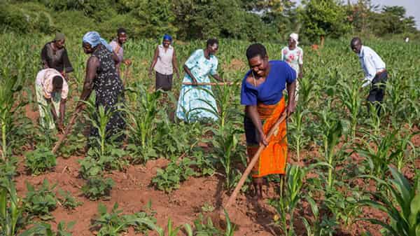 WOMEN FARMERS