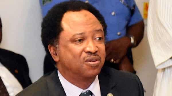 shehu sani