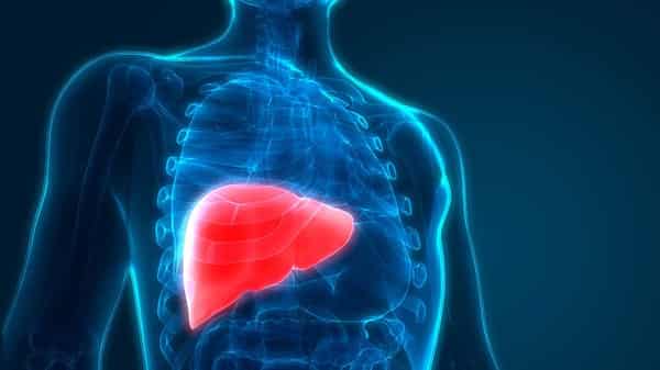 Liver Cancer