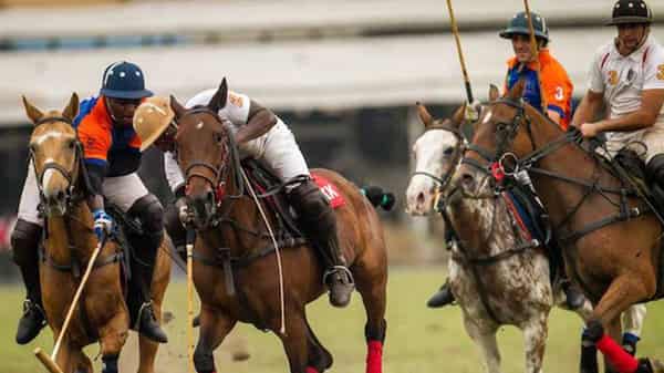 Polo-Back-17=02=2020