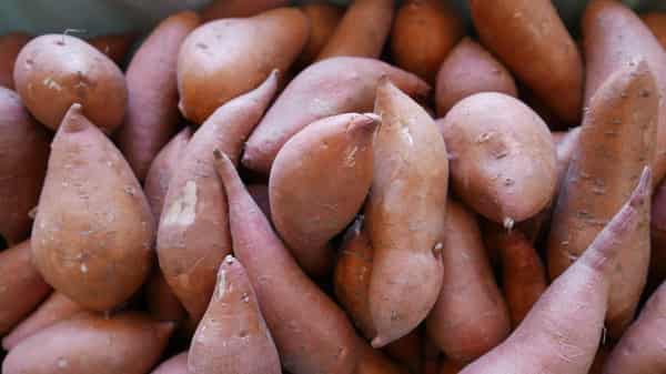 Close-Up High Angle View Of Sweet Potatoes
