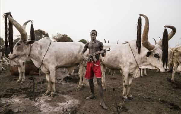 Fulani-Herdsmen