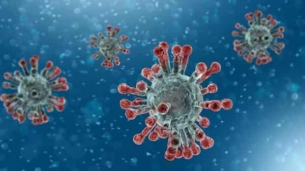 242314536.jpg.gallery