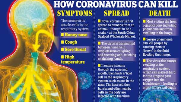 Daily-Mail-Coronavirus